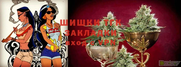 ГАЛЛЮЦИНОГЕННЫЕ ГРИБЫ Надым