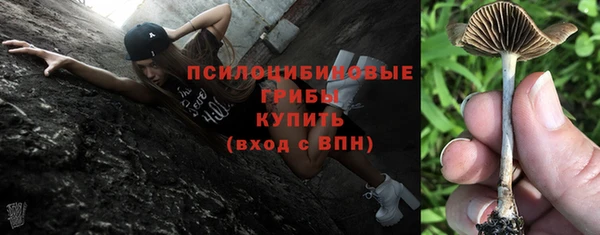 СК Навашино