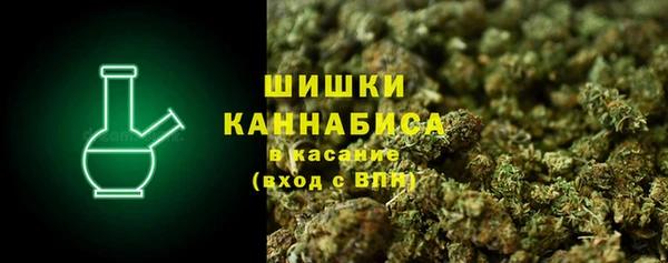 ГАЛЛЮЦИНОГЕННЫЕ ГРИБЫ Надым
