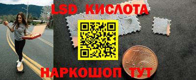 гидра Кимры