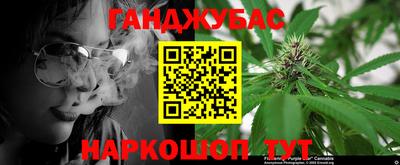 прущие крисы Кингисепп