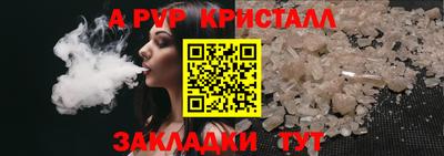 прущие крисы Кингисепп