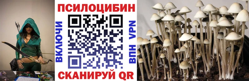 Псилоцибиновые грибы ЛСД  наркошоп  KRAKEN как войти  Мегион 