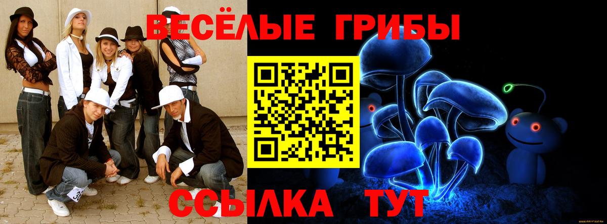 Псилоцибиновые грибы Psilocybine cubensis Мегион